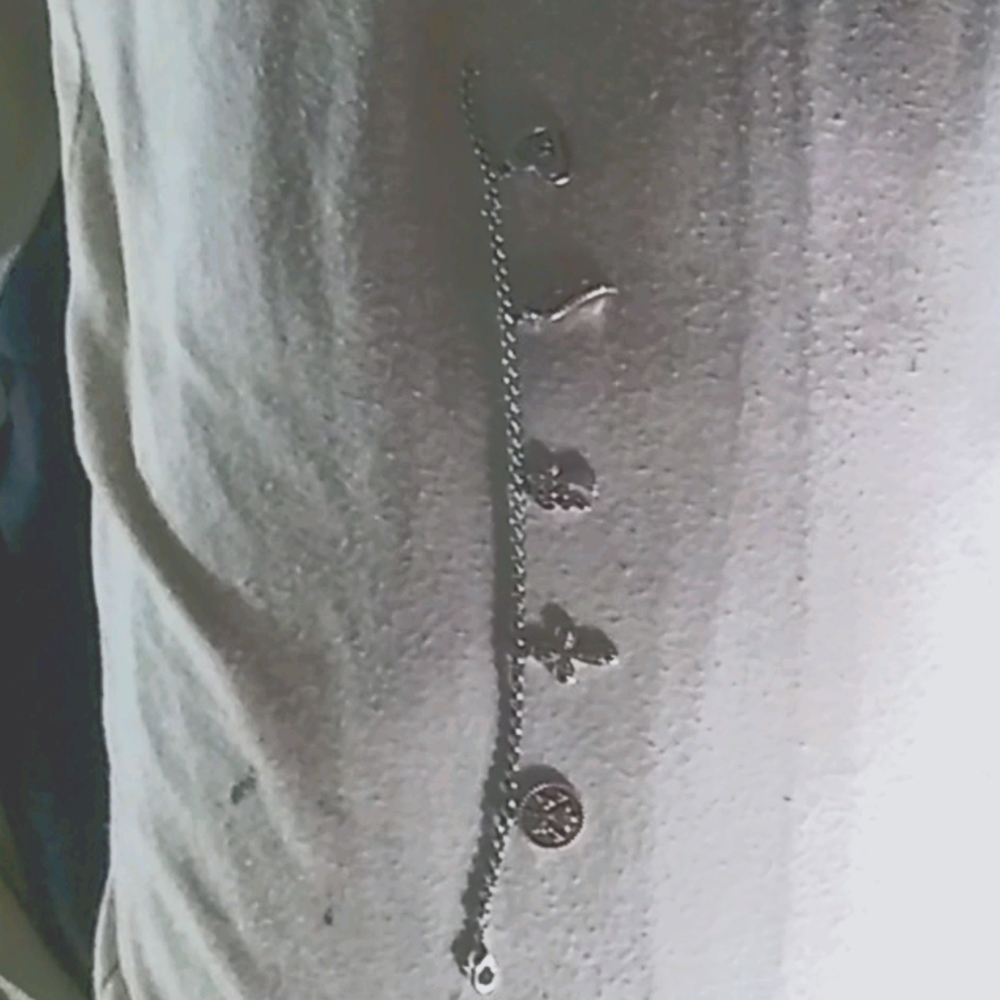 1 lady's charm bracelet with 5 different charms